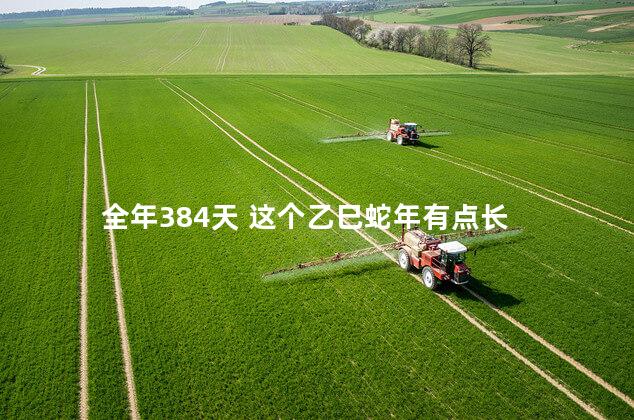 全年384天 这个乙巳蛇年有点长